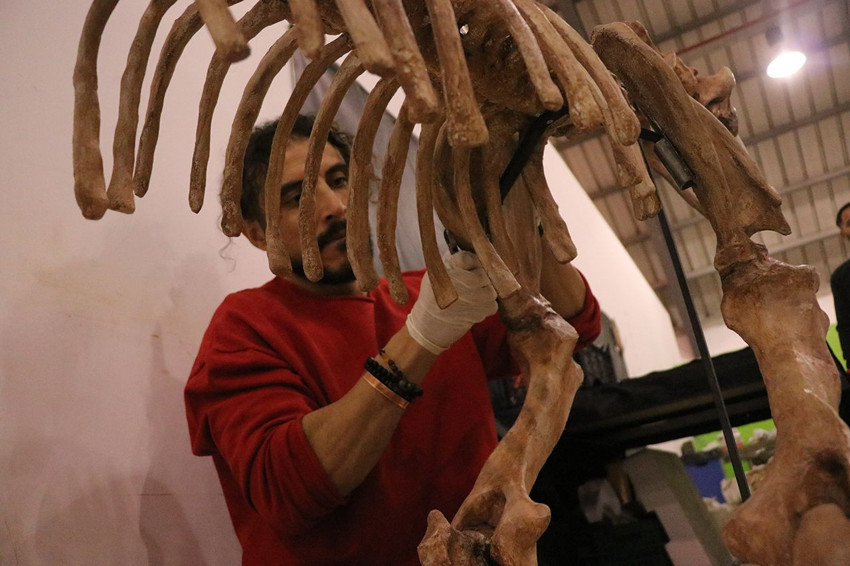 Türkiye'de bulunan milyonlarca yıllık dinozor fosilleri böyle geri döndürülüyor - Resim: 2