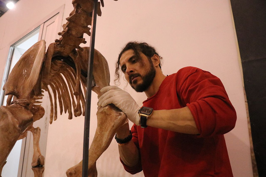 Türkiye'de bulunan milyonlarca yıllık dinozor fosilleri böyle geri döndürülüyor - Resim: 4
