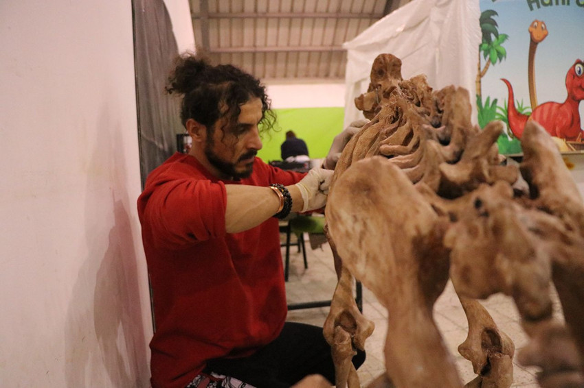 Türkiye'de bulunan milyonlarca yıllık dinozor fosilleri böyle geri döndürülüyor - Resim: 3