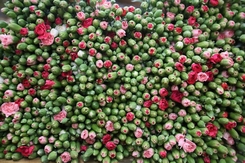 Türkiye'den Avrupa'ya 12 milyon Dolarlık yılbaşı ihracatı başladı! - Resim: 4