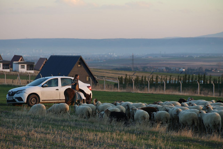 Eşek sırtında iş başındaki minik kız çocuğu görenleri duygulandırdı - Resim: 2