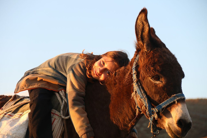 Eşek sırtında iş başındaki minik kız çocuğu görenleri duygulandırdı - Resim: 3