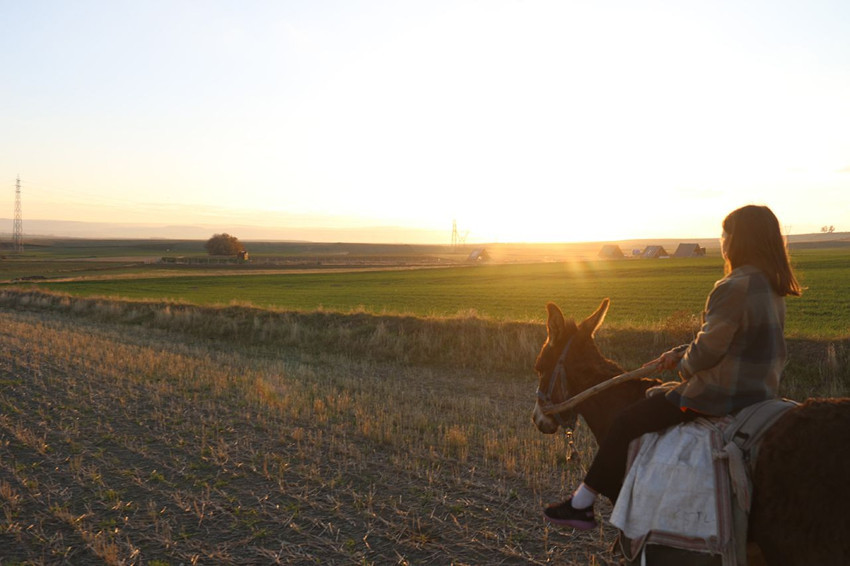 Eşek sırtında iş başındaki minik kız çocuğu görenleri duygulandırdı - Resim: 4