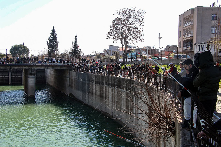 Av yasağına oltalarla meydan okudular: Sanki yasak başlamadı da av günü ilan edildi! - Resim: 2