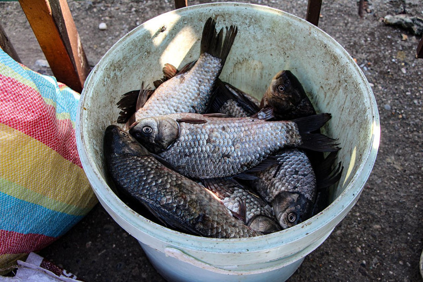 Av yasağına oltalarla meydan okudular: Sanki yasak başlamadı da av günü ilan edildi! - Resim: 4