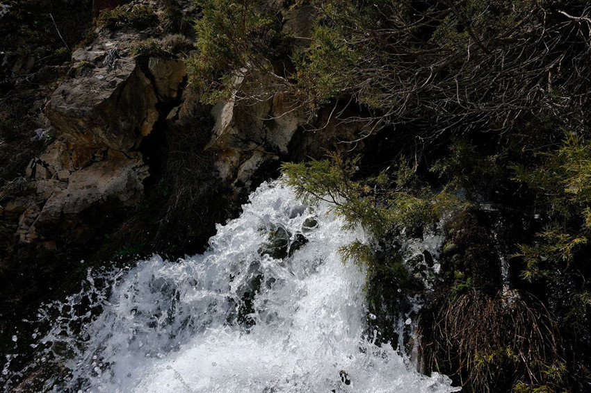 Karadeniz'in yeşil cennetinde esrarengiz olay! Sadece 15 gün gözüküyor ama sırrı çözülemiyor! - Resim: 2