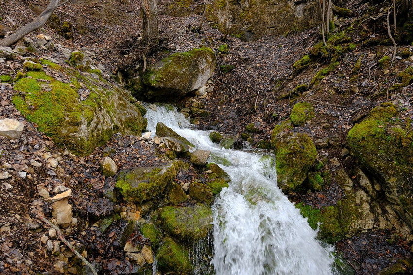 Karadeniz'in yeşil cennetinde esrarengiz olay! Sadece 15 gün gözüküyor ama sırrı çözülemiyor! - Resim: 3
