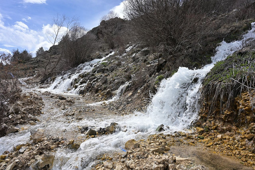 Karadeniz'in yeşil cennetinde esrarengiz olay! Sadece 15 gün gözüküyor ama sırrı çözülemiyor! - Resim: 4
