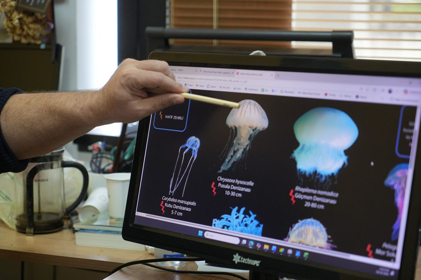 Tatilciler, balıkçılar dikkat! Yaz ayları öncesi ölümcül tür mavi vatanda görüntülendi! - Resim: 4