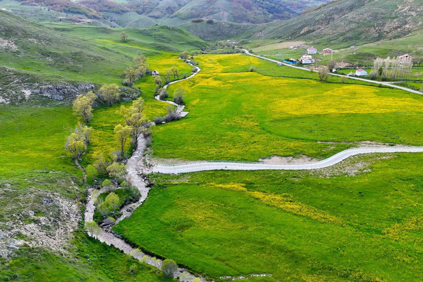 Sarıçiçek Vadisi'nde sadece20 gün sürecek sarı çiçek şöleni başladı - Resim: 2