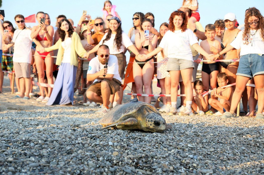 Türkiye'nin doğuştan engelli Caretta Carettası'na uydudan takip - Resim: 2