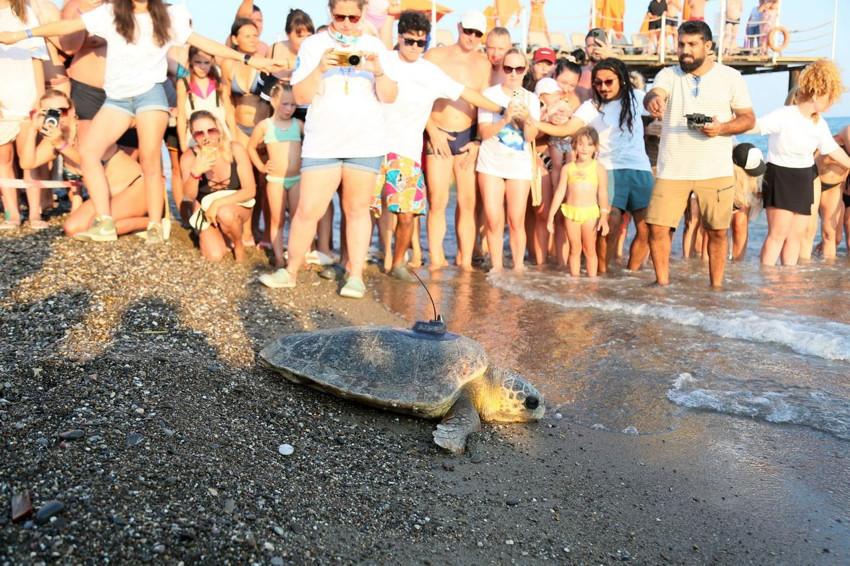 Türkiye'nin doğuştan engelli Caretta Carettası'na uydudan takip - Resim: 4