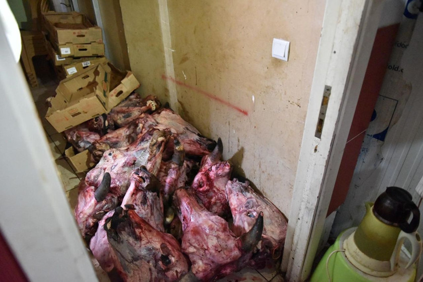 Marketin soğuk hava deposundaki iğrenç manzara mide bulandırdı - Resim: 3