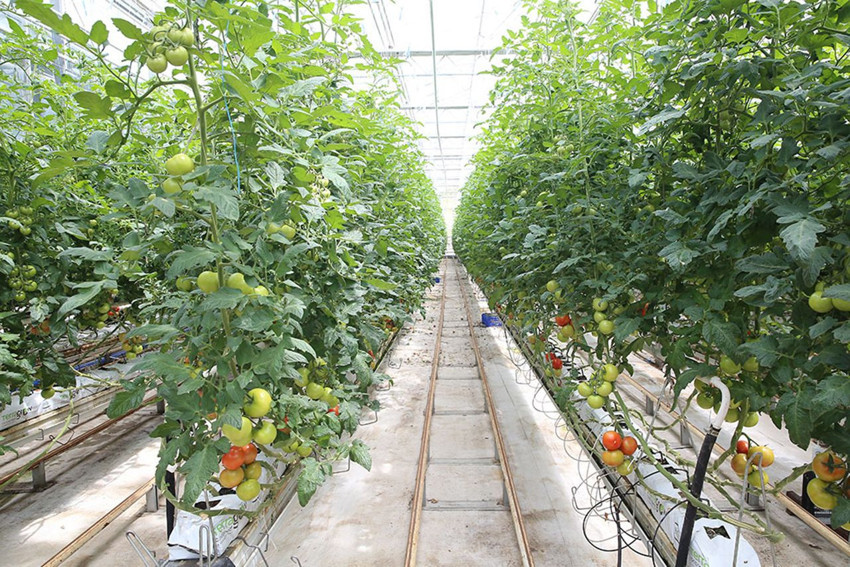 Türkiye'nin ''imkansızı başaran'' tesisi Tam 14 bin 500 konutun elektriği her ay çöpler karşılıyor - Resim: 2