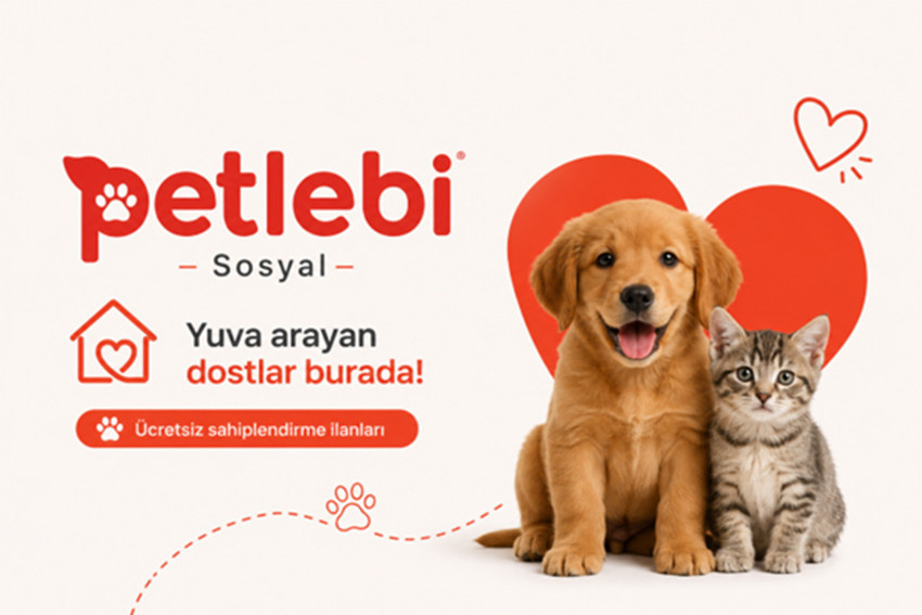 Türkiye’nin En İyi Evcil Hayvan İlan Sitesi