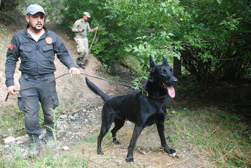 Henüz 3,5 yaşındayken oyun oynarken kaybolan minik Evrim 7 yıldır hala aranıyor... - Resim: 3