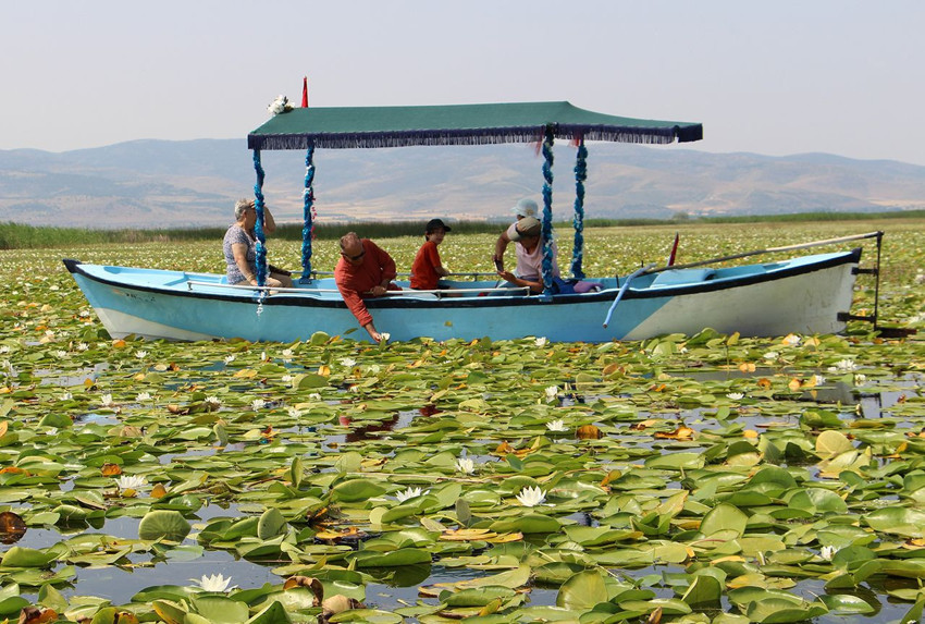 Türkiye'nin alternatif tatil rotası burası oldu: Bunun adı ''nilüfer'' turizmi - Resim: 3