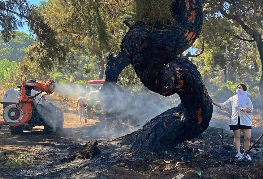 Antalya’daki orman yangınında kahreden anlar kamerada - Resim: 1