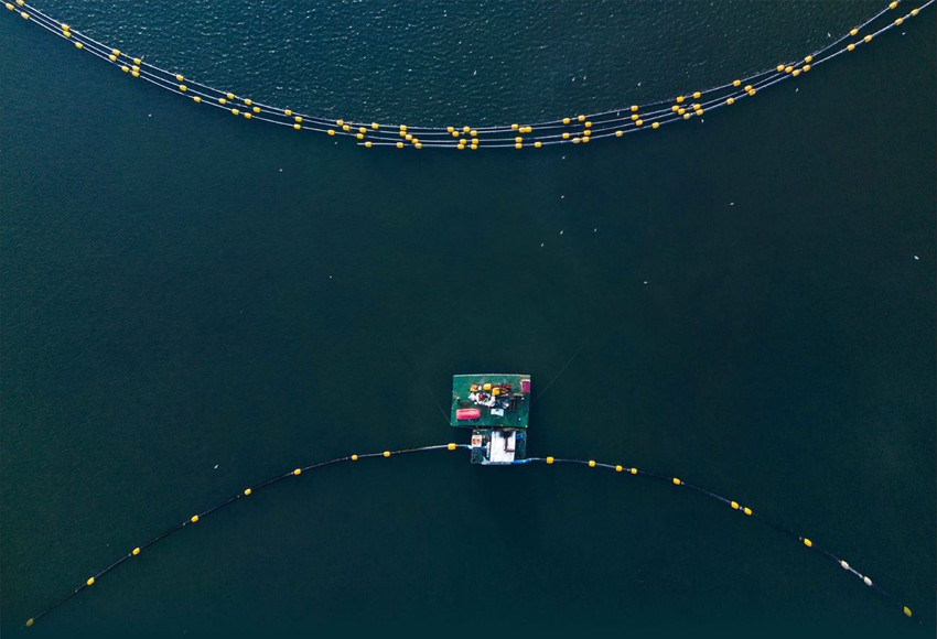 Dip çamuru temizlendi, Marmara'nın en sevimli çetesi yeniden ortaya çıktı! - Resim: 4