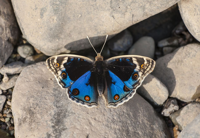 Diyarbakır'daki UNESCO Listesi'ndeki 8 bin yıllık cennete ''renk'' geldi - Resim: 1