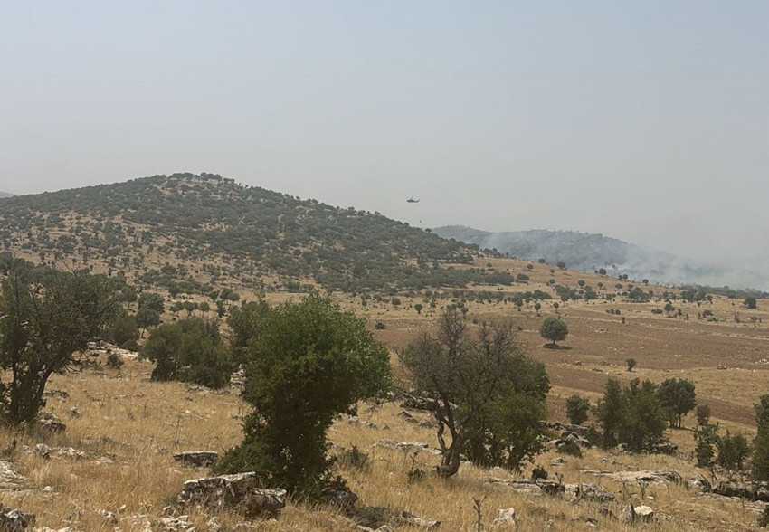 Mardin'de orman yangını - Resim: 4