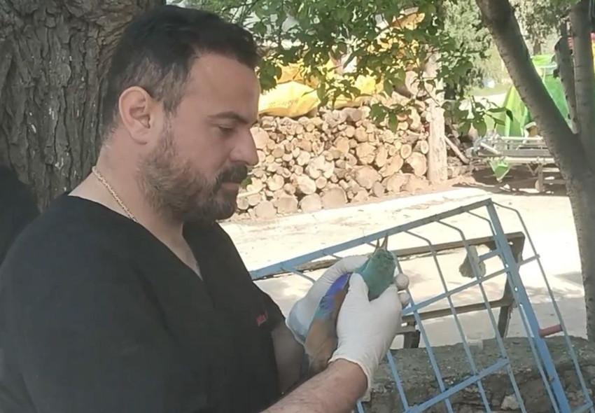 Nesli tükenmekte olan kuş Türkiye'de ortaya çıktı - Resim: 2