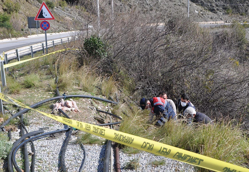 Antalya'da yol kenarında dehşet! Yine bir kadın yine şüpheli ölüm - Resim: 2