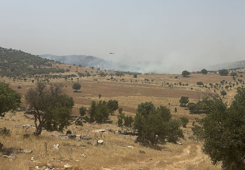 Mardin'de orman yangını - Resim: 3