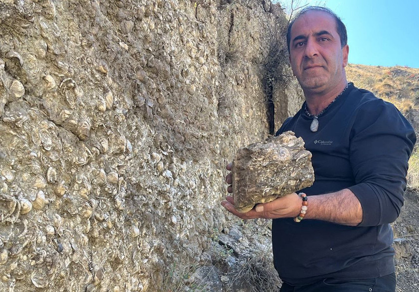 Denizi olmayan Erzurum'da 200 milyon yıllık deniz fosilleri bulundu - Resim: 2