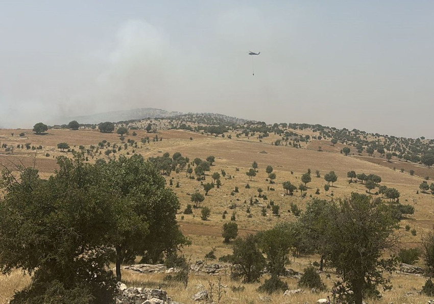 Mardin'de orman yangını - Resim: 1