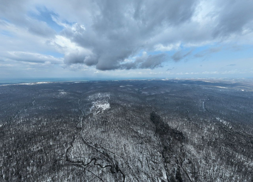 İstanbul'un son yeşil cenneti Belgrad Ormanı kar gelinliğini giydi - Resim: 1