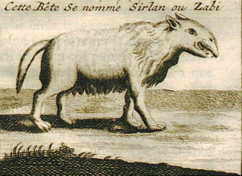 Türkiye'nin ilk turistik mağarası son 20 yılda adının yarısını kaybetti... - Resim: 2