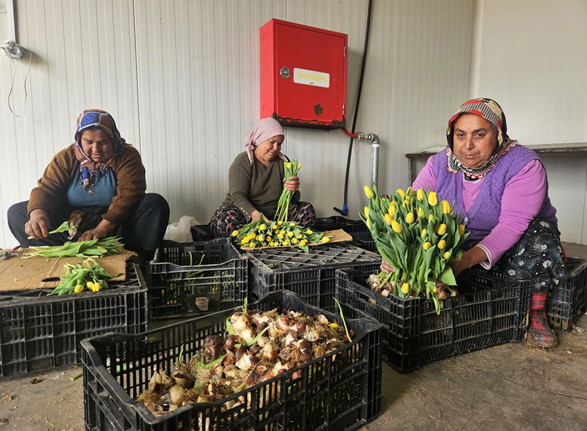 Dünyanın en anlamlı günü için Türkiye'deki ''suda üretim'' kamerada - Resim: 2