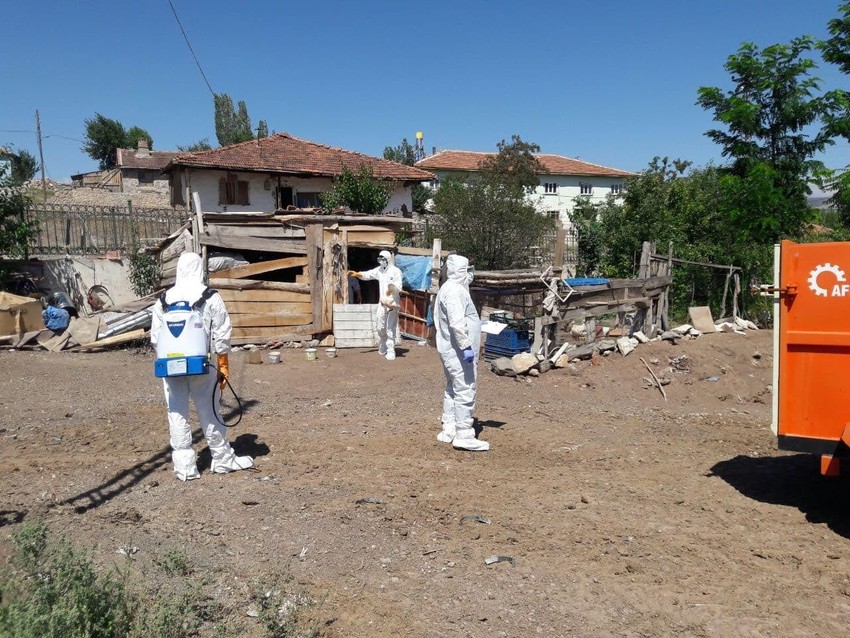 Koronavirüsle boğuşurken kuş gribi kabusu hortladı - Resim: 1