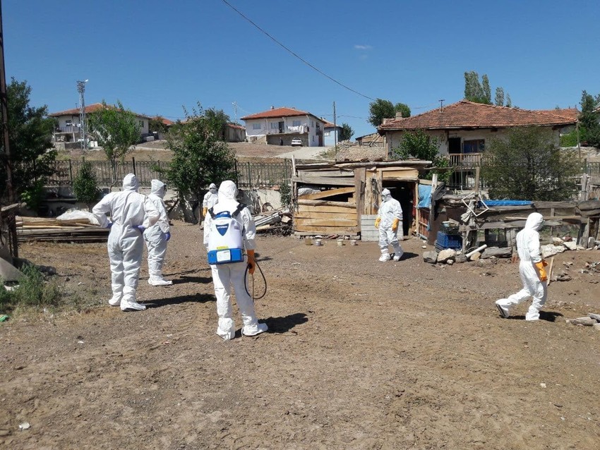 Koronavirüsle boğuşurken kuş gribi kabusu hortladı - Resim: 3