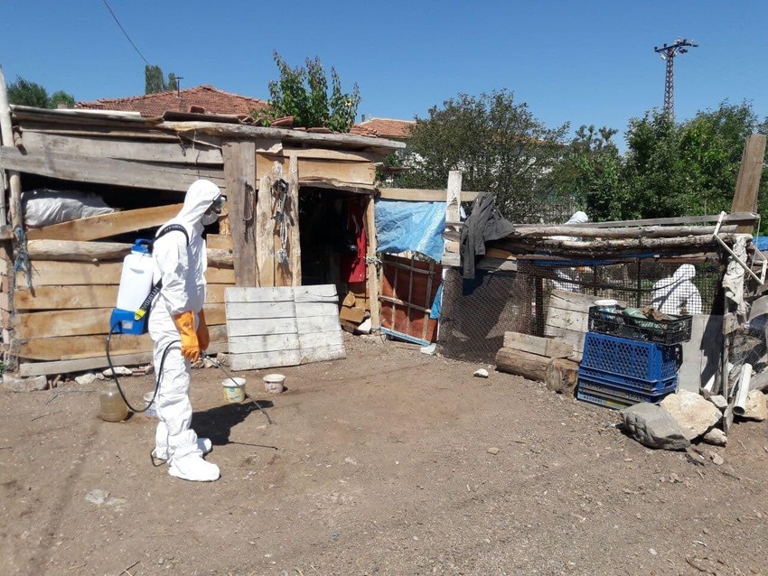 Koronavirüsle boğuşurken kuş gribi kabusu hortladı - Resim: 4