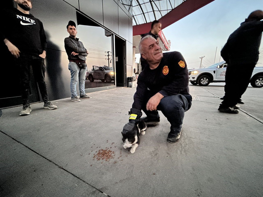 Trafoda ''kedi'' operasyonu: Minik kedi 3 işçiyi hastanelik etti - Resim: 4