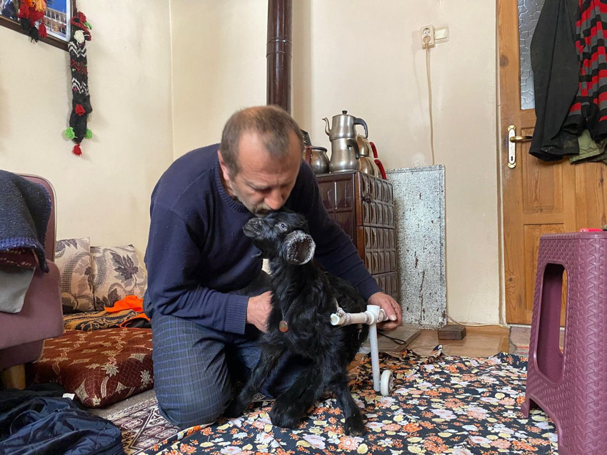 Felçli olarak doğan ve ''uyutulsun'' denilen bu minik ona can yoldaşı oldu - Resim: 4