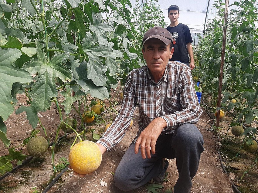 ''Kışın olmaz'' denilen meyveyi yetiştirip, kilosunu 200 liradan satıyor - Resim: 2