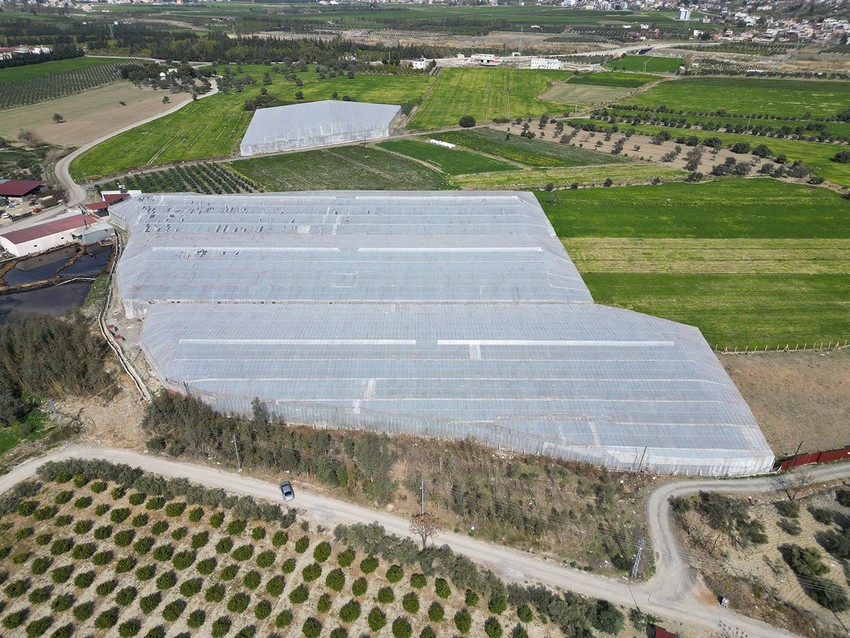 Asrın felaketi bölgesinin en lezzetli meyvesi için zam yağmuru uyarısı - Resim: 4