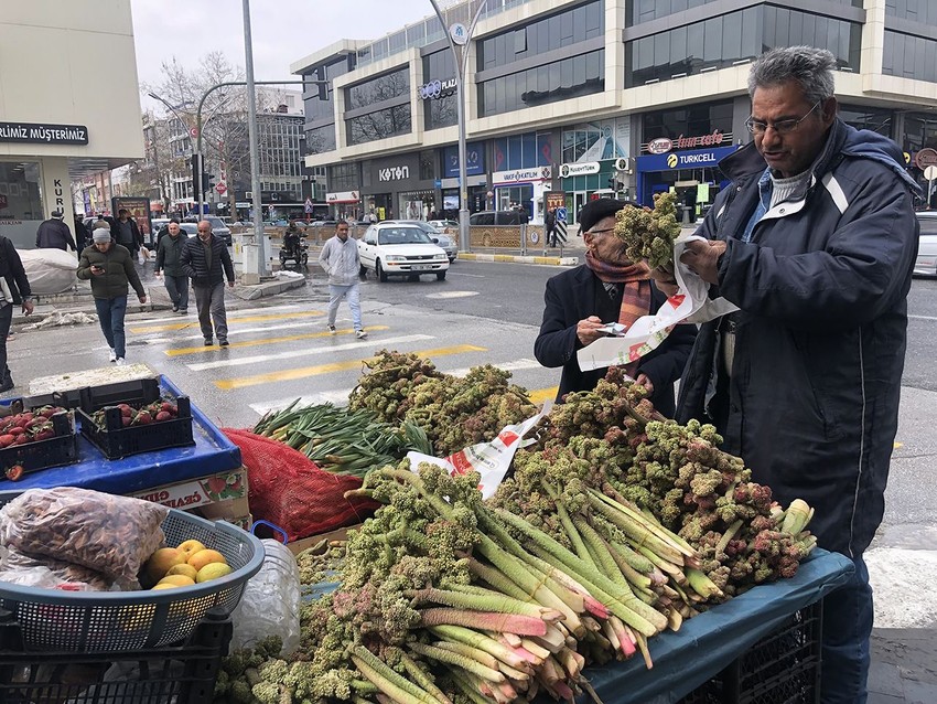 Doğada kendi kendine yetişen kanserin ve şekerin doğal çözümü pazarda 300 TL'den satışta - Resim: 4