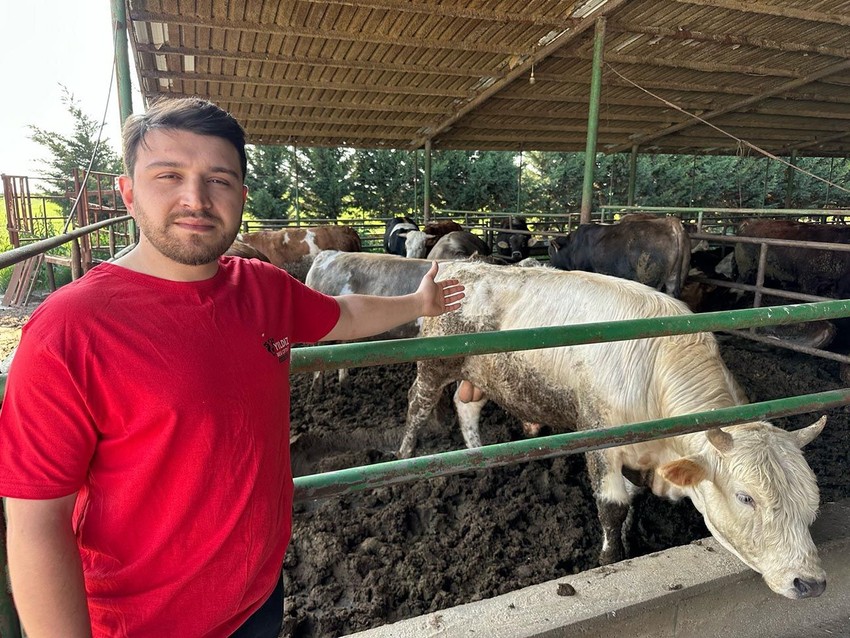 Kurbanlık fiyatları belli oldu - Resim: 3