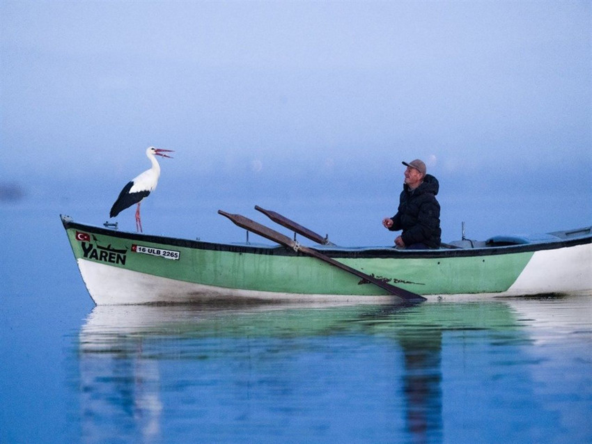 Kuluçkaya yatan Yaren leylek baba oldu - Resim: 4