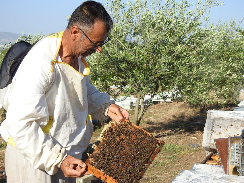 Doktorun annesine ''bal tüket'' tavsiyesiyle hem kendi işinin patronu hem de bal kralı oldu - Resim: 1