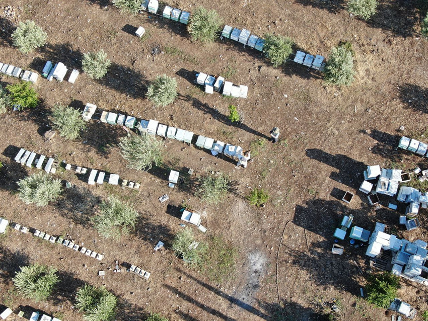 Doktorun annesine ''bal tüket'' tavsiyesiyle hem kendi işinin patronu hem de bal kralı oldu - Resim: 2