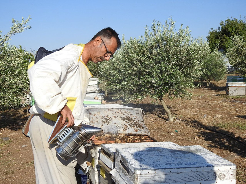 Doktorun annesine ''bal tüket'' tavsiyesiyle hem kendi işinin patronu hem de bal kralı oldu - Resim: 3