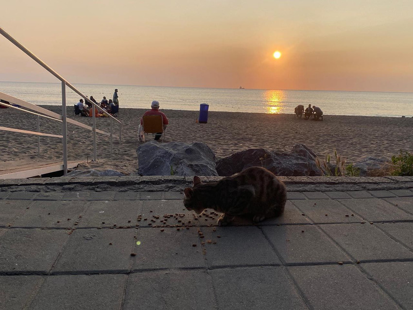 Türkiye'nin tatil cenneti bu bayram boş kaldı - Resim: 4