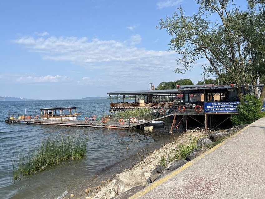 Sapanca Gölü'ndeki ''yeterki para kazanalım'' istilası tek tek temizlenecek! - Resim: 4