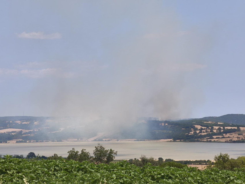 Edirne'de orman yangını - Resim: 3
