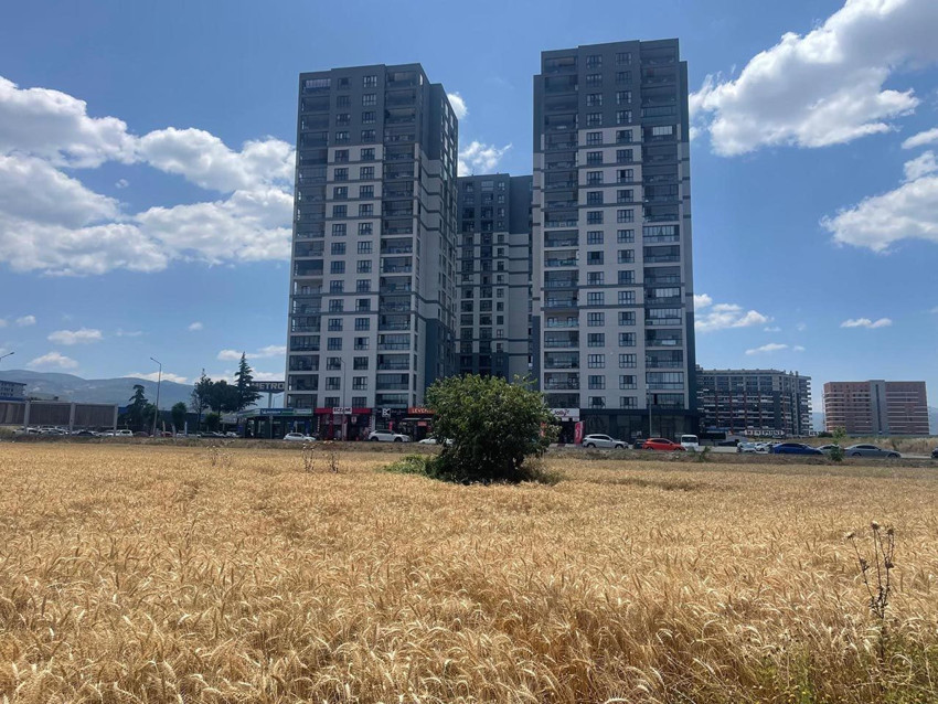 Tarlalar milyon dolarlık lüks gökdelenlerin arasındaki kaldı; kimisi de AVM oldu - Resim: 3